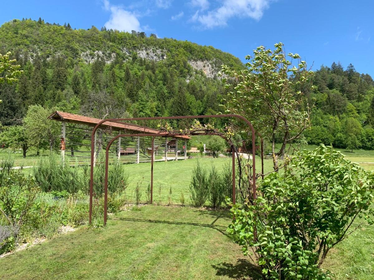 Entire House Iris & Arnika Villa Bled Exterior photo